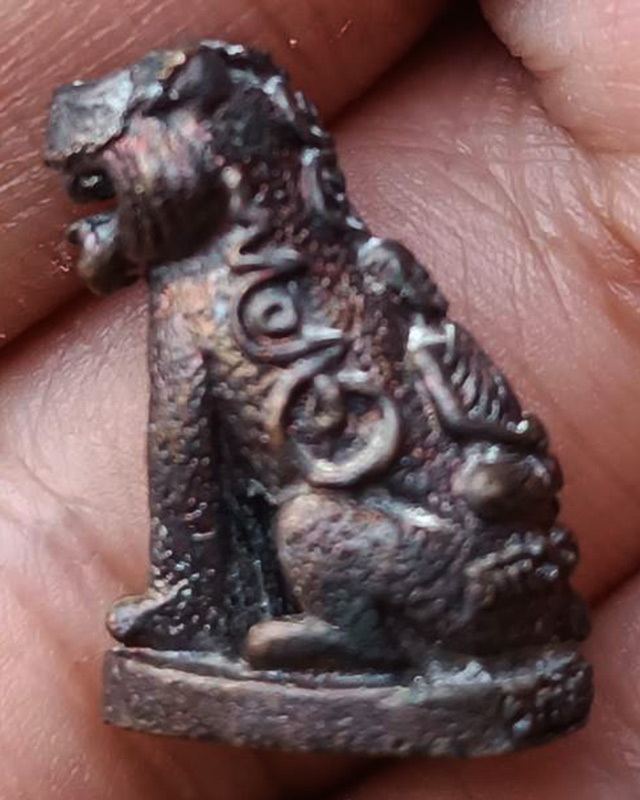 3.เสือมหาอำนาจ พยัคฆ์คำราม หลวงพ่อเกตุ วัดเกาะหลัก รุ่นแรก ปี 2531 เนื้อทองผสม ตอกโค้ด ขนาดสูงประมาณ