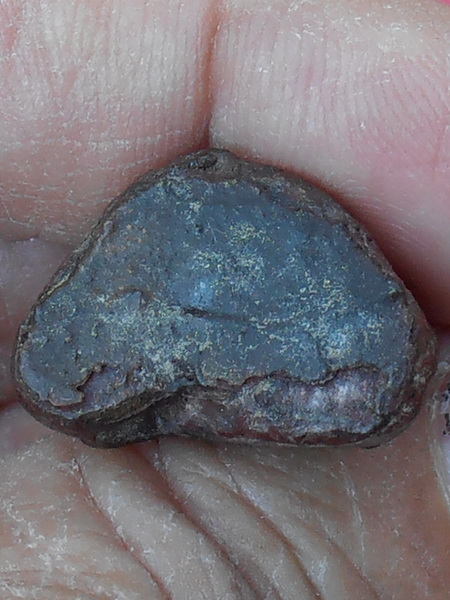 พระสังกัยจายน์ เนื้อผงลงรักปิดทองเก่า