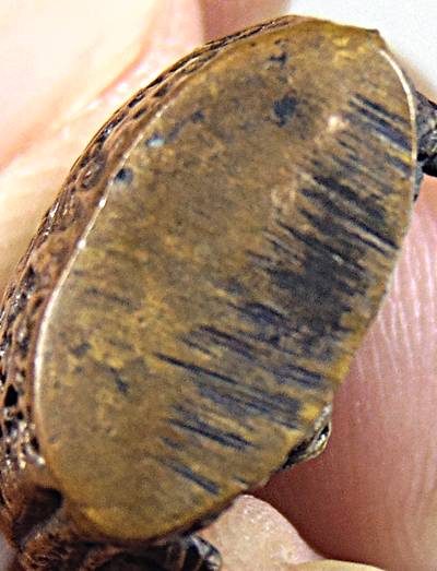 เหรียญหล่อ ถ้ำเสือเล็ก หลวงพ่อคง วัดวังสรรพรส ปั2521 เนื้อทองแดง