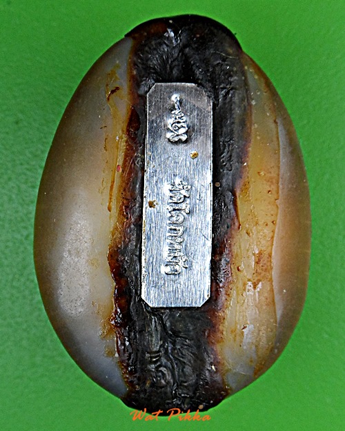 เบี้ยแก้หลวงพ่อพิเชฐ วัดโคกหม้อ ลพบุรี .E345.