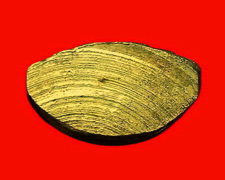 พระกริ่งพระพุทธสถาพรมงคล (หลวงพ่อโต) วัดถาวรวราราม(วัดญวน) จ.กาญจนบุรี สวยมากค่ะ