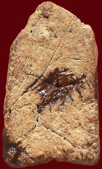 *พิมพ์ซุ้มไข่ปลา เนื้อว่าน กรุวัดป่าแตง พระนครศรีอยุธยา*