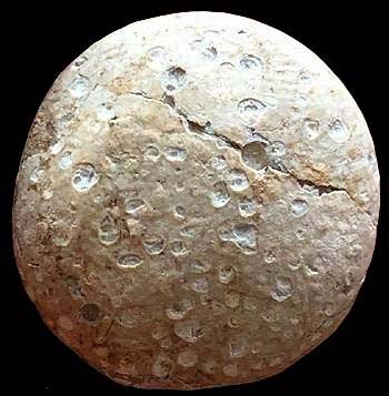 *พระผงกรุวัดคู้สลอด อยุธยา พิมพ์จันทร์ลอย หลวงพ่อปาน วัดบางนมโค ปลุกเสก*