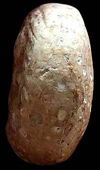 *พระผงกรุวัดคู้สลอด อยุธยา พิมพ์จันทร์ลอย หลวงพ่อปาน วัดบางนมโค ปลุกเสก*