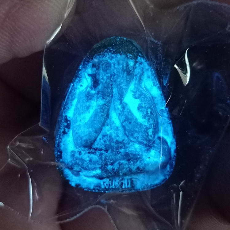 พระปิดตาปลดหนี้ รุ่นที่ระลึกบูรณะอุโบสถ หลวงพ่อนงค์ อภิชาโต (ศิษย์หลวงปู่โต๊ะ) วัดบางน้ำชน ธนบุรี