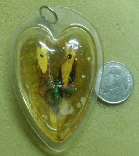 **เบา​ๆ*​*สาริกามหาลาภ เนื้อไม้แกะ พร้อมเลี่ยมในน้ำมันจันทน์ สวยๆ ไม่ทราบที่**เมตตา มหานิยม โชคลาภ