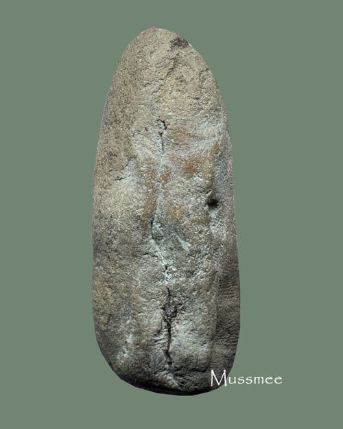 พระลีลาทุ่งเหยียบดอก หลวงพ่อสุรินทร์ วัดลาดบัวขาว  พระสายเหนีย; แห่งเมืองราชบุรี