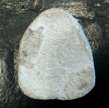 พระสังกัจจายน์ เนื้อผง