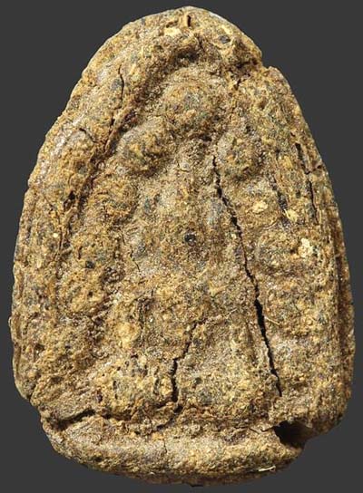 กลีบบัว เนื้อว่านเก่า