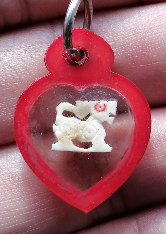 สิงห์งาแกะหลวงพ่อกวย​ วัดโฆสิตาราม​ จ.ชัยนาท​ งานผูกพัทธสีมา​ เลี่ยมเดิมจากวัด ปี​ 2521​ เคาะเดียว  