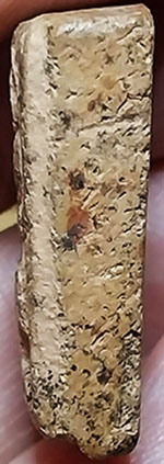 *พิมพ์ทรงสิงห์ เนื้อดิน หลวงพ่อผาด กรุวัดดงตาล ลพบุรี  หลวงพ่อปาน วัดบางนมโค ปลุกเสก*