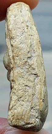 *พระกรุวัดเงินคลองเตย กทม. พิมพ์สังกัจจายน์มีหู เนื้อผง*