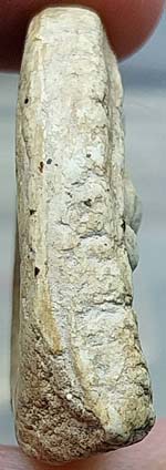 *พระกรุวัดเงินคลองเตย กทม. พิมพ์สังกัจจายน์มีหู เนื้อผง*