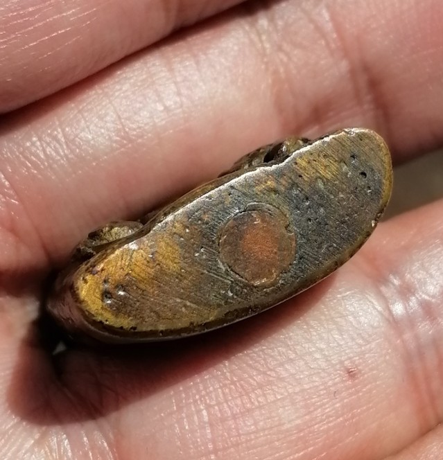 งั่งไม่ทราบที่​ เคาะเดียว