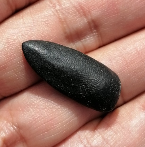 พระสิวลีหลวงพ่อกวย เนื้อดิน พิมพ์มีย่าม วัดโฆสิตาราม จ.ชัยนาท เคาะเดียว    