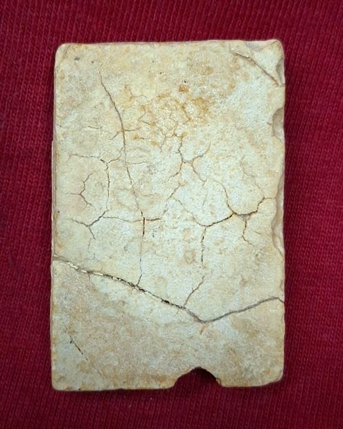 พระสมเด็จเนื้อผงน้ำมัน พิมพ์ปรกโพธิ์ หักมีซ่อม (ไม่ทราบที่)