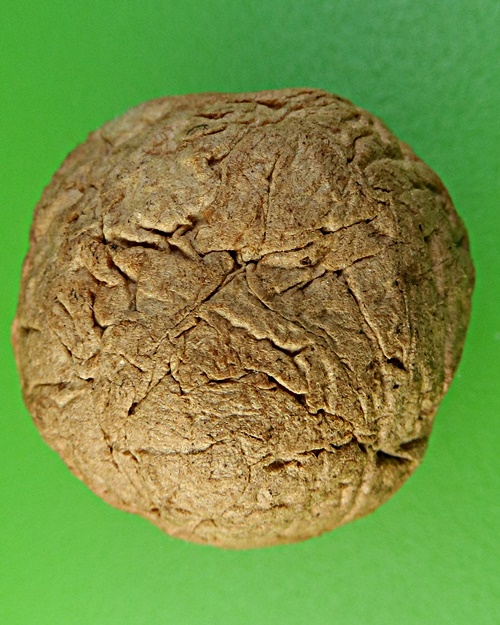 ชานหมากญาท่านเขียน ปุญฺญกาโม ป่าช้าโพนสิม อุบลราชธานี .2148.