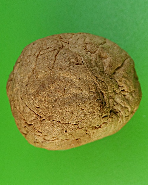 ชานหมากญาท่านเขียน ปุญฺญกาโม ป่าช้าโพนสิม อุบลราชธานี .2148.