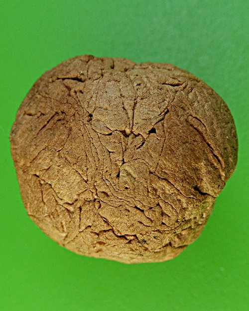 ชานหมากญาท่านเขียน ปุญฺญกาโม ป่าช้าโพนสิม อุบลราชธานี .2148.