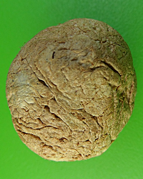 ชานหมากญาท่านเขียน ป่าช้าโพนสิม อุบลราชธานี(1) .2149.