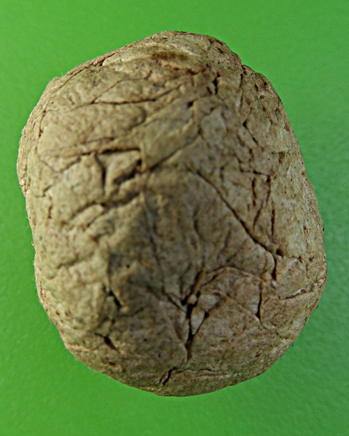 ชานหมากญาท่านเขียน ป่าช้าโพนสิม อุบลราชธานี(1) .2149.