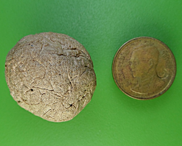 ชานหมากญาท่านเขียน ป่าช้าโพนสิม อุบลราชธานี(1) .2149.