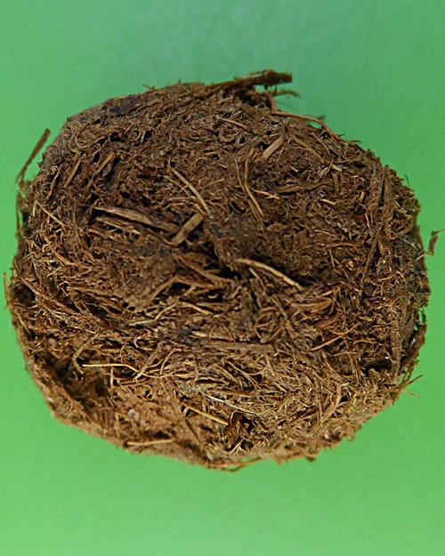 ชานหมากหลวงพ่อสมบูรณ์ วัดหงส์รัตนาราม กทม .2150.