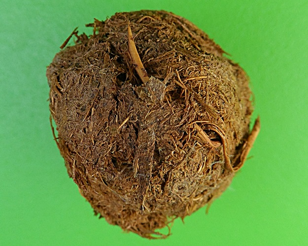 ชานหมากหลวงพ่อสมบูรณ์ วัดหงส์รัตนาราม กทม .2150.