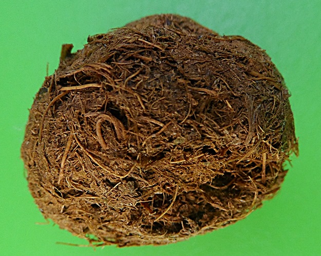 ชานหมากหลวงพ่อสมบูรณ์ วัดหงส์รัตนาราม กทม .2150.