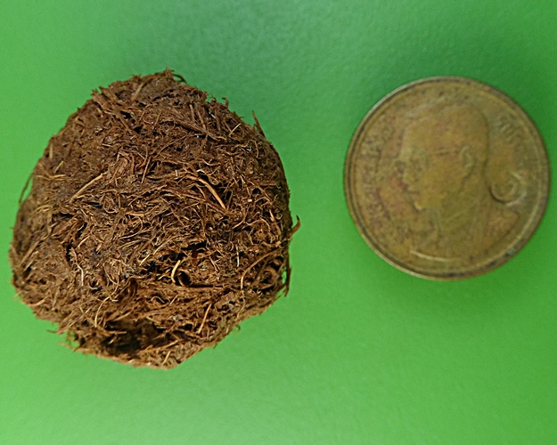 ชานหมากหลวงพ่อสมบูรณ์ วัดหงส์รัตนาราม กทม .2150.