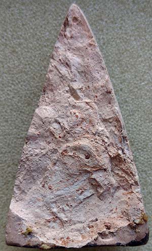 พระติดแผง พิมพ์พุทธชินราช