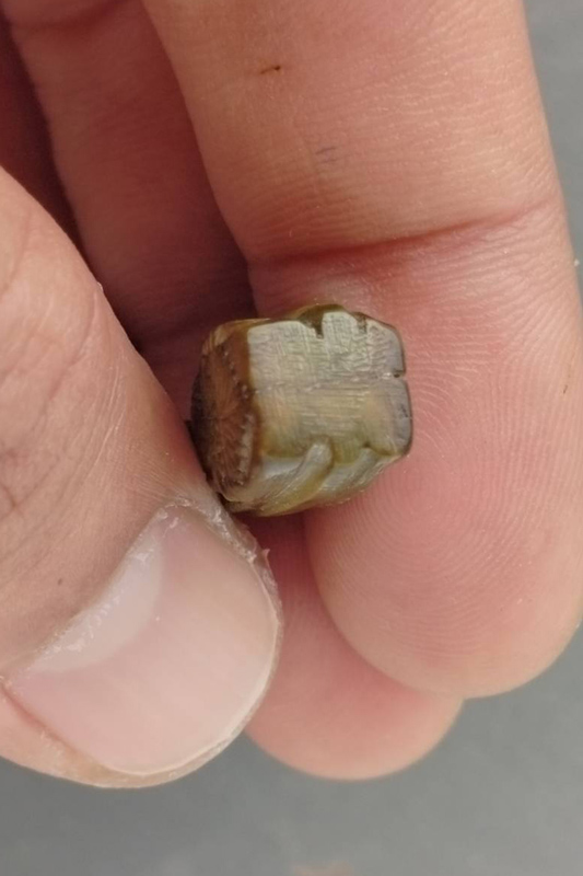 พระพุทธหลังนางกวัก แกะจากงา มีอายุ ศิลป์สวย