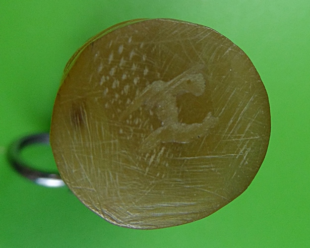 ลิงพระอาจารย์นันต์ วัดบางพลีน้อย สมุทรปราการ .2310.