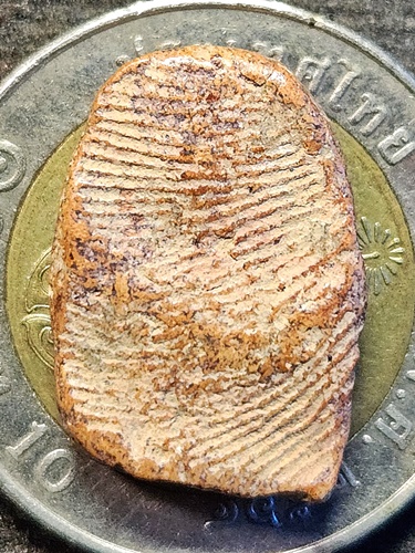 กรุลานดอกไม้ จ.สุโขทัย  พระสังกัจจายน์ข้างขีด เนื้อดิน 