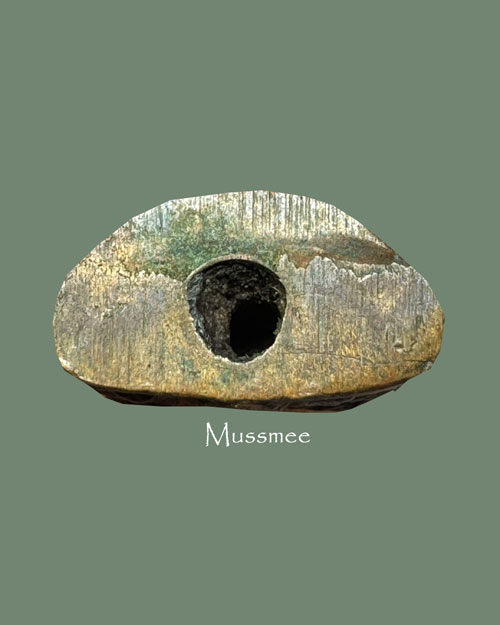 พระชัยวัฒน์ ปี 2500 หลวงพ่อลี วัดอโศการาม พระสวยยย### เคาะเดียว ###