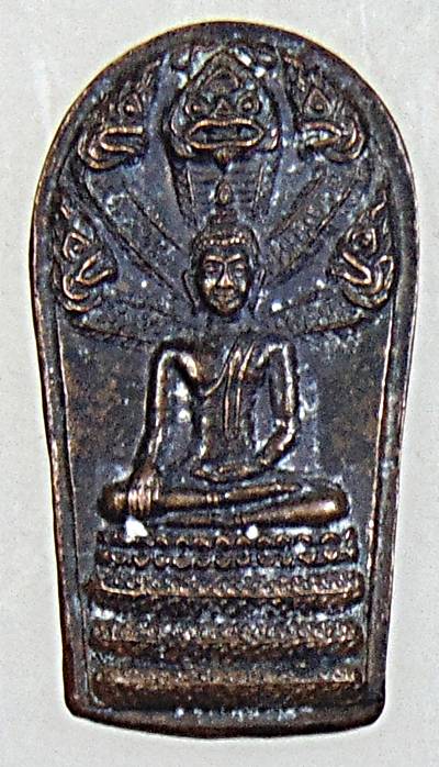 ๒๐ เหรียญพระนาคปรก วัดธาตุมหาชัย