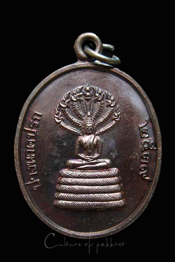 เหรียญพระปางนาคปรก หลวงพ่อไสว วัดปรีดาราม (1026)