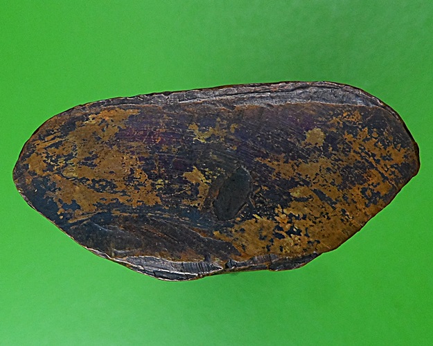 รูปหล่อปั๊มรุ่นแรกหลวงพ่อศิริ วัดตาล นนทบุรี .2997.