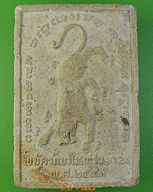 พยัคฆ์เขาใหญ่รุ่น๑ วัดเกาะ โคราช .3095.