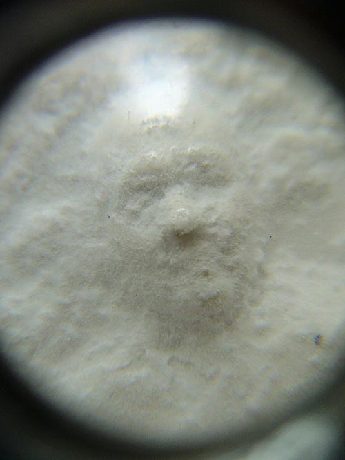 T7.1 พระผงจักรพรรดิ์ พิมพ์หลวงปู่ดู่ หลวงตาม้า วัดถ้ำเมืองนะ จ.เชียงใหม่