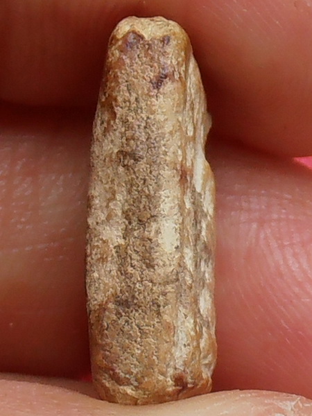 พระสมเด็จ พิมพ์คะแนน