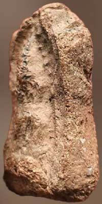 *ซุ้มไข่ปลา เนื้อดิน กรุวัดป่าแตง อยุธยา*