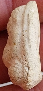 *พระผงวัดประสาทบุญญาวาส กทม. ปี๒๕๐๖ พิมพ์พระสังกัจจายน์แจกฟรี ไม่มีรู เนื้อขาว*