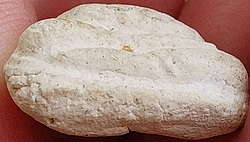 *พระผงวัดประสาทบุญญาวาส กทม. ปี๒๕๐๖ พิมพ์พระสังกัจจายน์แจกฟรี ไม่มีรู เนื้อขาว*