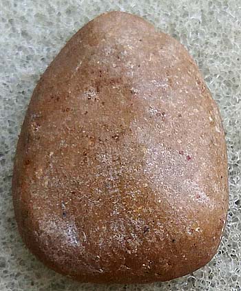 พิมพ์เม็ดบัว ผงน้ำมัน