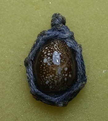 เบี้ยแก้พร้อมคาถาบูชา