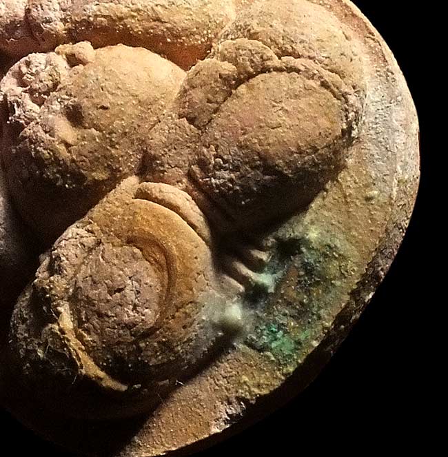 พระปิดตามหาลาภสารพัดดี หลวงพ่อคูณปริสุทโธ เนื้อกระเบื้องหลังคาโบสถ์หลังฝังปรก ออกวัดบ้านคลอง ปี2538