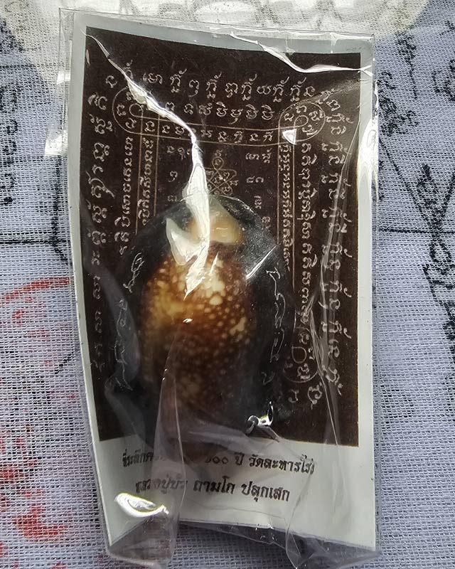 เบี้ยแก้ อุดผงพรายกุมารคลุกรักชันโรงพร้อมกระดาษยันต์ ปี 54 หลวงปู่บัว หลวงปู่คำบุ ปลุกเสก