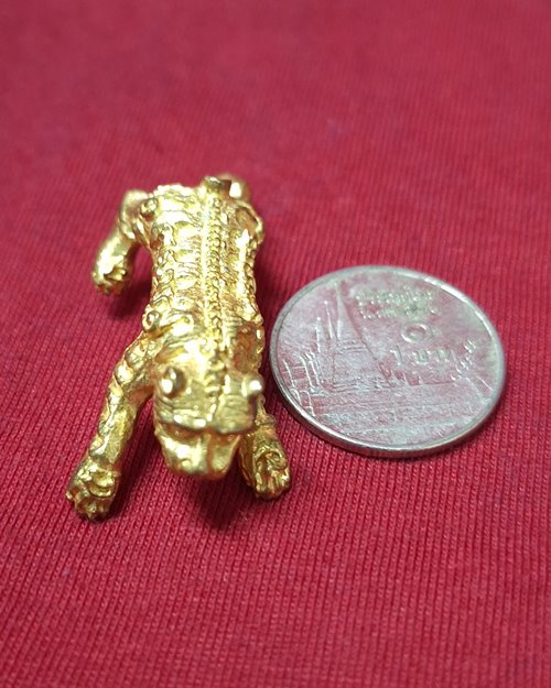 เสือยืนยันต์ล้อมทั้งตัว เนื้อกะไหล่ทอง (ไม่ทราบวัด)