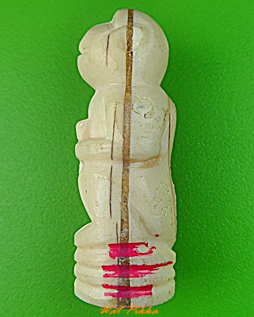 ลิงหลวงพ่อฟู วัดบางสมัคร ฉะเชิงเทรา .3550.